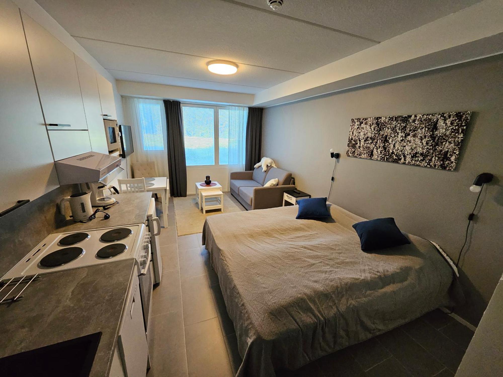Levillenet Studio Apartment At Levi City Centre Dış mekan fotoğraf